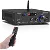 sikkeby Amplificatore HiFi con Bluetooth 5.0, AK-3116 mini amplificatore audio stereo 2.0 canali 100W x 2 ricevitore Amplificatore di potenza digitale di classe D con chip TPA3116, ingresso USB, AUX, BT