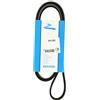 DAYCO 6PK1555 CINGHIA POLY-V COM.ALT.BMW 520/3/8