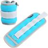 PTJJXA 2 Pezzi Peso Caviglia, 0,25/0,5 kg Polsiere Appesantite, Cavigliere Pesi Polsini con Pesi per Piede, Cavigliere Appesantite per Fisioterapia Ginnastica Jogging Yoga Aerobica Fitness (Blu,2x0,25kg)