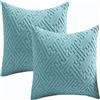 ZZDZW Federe Cuscini Divano 80x80 Set 2 Copri Federa Cuscino 50x80 60x80,Copricuscino 50x50 Con Cerniera,Federe Moderne Per Camera Da Letto Divano Decorativo Velluto A Coste(Light Blue,40x40 cm Set of 2)