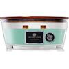 DECO EXPRESS Candele Profumate Stoppino Scoppiettante Candela Lunga Durata Fino a 50 Ore, Regalo per San Valentino o Festa della Mamma (Eucalipto fresco)