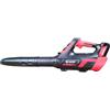 Soffiatore Blue Bird BL 22-300