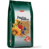 PADOVAN Panico Panicum 1KG