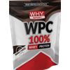 WHY SPORT WPC 100% Whey Proteine concentrate del latte 1kg gusto DARK CHOCO