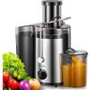 Reemix Elettrica Centrifuga Frutta e Verdura, Reemix Estrattore Frutta e Verdura Facile da Pulire, 65 MM Bocca Larga, Acciaio Inox, 2 Velocità, Spazzola & Ricetta (Black, 800W)