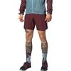 DYNAFIT ALPINE PRO 2/1 SHORTS M Running Uomo