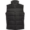Regatta da Uomo Altoona Gilet Outdoor Gilet, Uomo, Altoona Bodywarmer, Multicoloured (Seal Grey/Black), Small (Manufacturer Size:S)