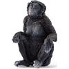 SCHLEICH 14875 Bonobo femmina, da 3 anni, WILD LIFE - Figura, 4 x 4 x 6 cm