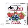 Ziguli Vit - Frutti Di Bosco 40 Confetti