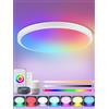 Litglobe Plafoniera LED Dimmerabile 28W, Smart Lampada Soffitto RGB Con Telecomando e APP, Compatibile Con Alexa Google Assistant, Ø28cm per Soggiorno Cucina