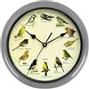 F Fityle Orologio da Parete con Uccelli Selvatici Che cantano, Decorazione per la Stanza, Orologio con Melodia Versatile, Alimentato a Batteria, per Bar, Grigio 32 cm
