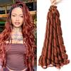 CAZSYSDD French Curly Braiding Hair for Box Braids 22 inch Loose Wave Braiding Hair Pre Stretched Bouncy Braiding Crochet Spiral Curl Synthetic Extensions for Women (350#, 22 Inch)
