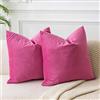 JUSPURBET Set di 2 federe per cuscini in velluto rosso rosa, 50,8 x 50,8 cm, per soggiorno, divano, camera da letto, decorative, quadrate, morbide, con cerniera invisibile