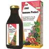 SALUS HAUS Gmbh & Co KG SALUS IMMUNO PROTECT 250ML