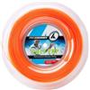 PROKENNEX Corda Tennis matassa 200 m Monofilamento Poly Exp 1.20 mm