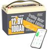 Power Queen 12 V 100 Ah Bluetooth Batteria LiFePO4 con 100 A BMS, bassa autoscarica, Low-Temp Auto Cut Off App Control Batteria al litio per sistema solare domestico, Campeggio, Caravan, Barca