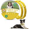 Surglam Collare Antiparassitario per Cani, Collare Antipulci Cane, Collare Antipulci e Zecche per Cani, Collare Regolabile Impermeabile, 8 Mesi di Protezione per Tutti i Tipi di Cani, 70 cm Taglia Unica