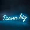 Lights4fun - Insegna Luminosa Decorativa Neon a LED Blu "Dream Big"
