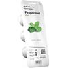 Click and Grow Click & Grow, Ricambio Vasi di Terriccio di Menta Piperita, Confezione con 3 Capsule