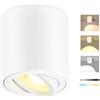 GeyouLux LED Faretto da Soffitto Dimmerabile, Orientabili, Ø80x84mm Faretti LED Soffitto incl. 5W 500LM 230V Modulo LED, 3000K/4000K/6500K Faretti Soffitto Alluminio, Rotondo（Bianco）