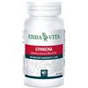 ERBA VITA GROUP SpA GYMNEMA SYLVESTRE 60 CAPSULE 350 MG