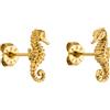 PURELEI® Orecchini a forma di cavalluccio marino (oro, argento, oro rosa), impermeabili, da donna, orecchini a lobo a forma di cavalluccio marino, in acciaio inossidabile, regalo per donne, 12.2 mm x