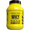 PROACTION Srl FIT WHEY PROTEIN VANIGLIA 900G