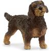 SCHLEICH 13972 Bassotto a Pelo Ruvido, da 3 Anni, Farm World - Figura, 2 x 7 x 4 cm