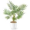 PASCH Palma artificiale Areca (35 cm) in vaso di ceramica bianca: piante artificiali come reali, piante artificiali in vaso, falsa pianta, palma artificiale, fiori artificiali in vaso, piccola palma