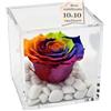 Premium-rose.com Cubo Rosa Stabilizzata Multicolor Profumata 10 cm, Rosa Rainbow Eterna Vera | Idea Regalo Natale,San Valentino Fidanzata, Amica, Compleanno, Bomboniera Laurea | Made in Italy Multicolor - 1810