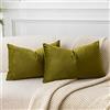 JUSPURBET Copricuscini in Velluto Verde Oliva Lombari 30x50 cm Set di 2 per Divano Soggiorno Camera da Letto Decorativi Rettangolari Solidi Morbidi con Cerniera Invisibile