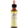 Bach Flower Remedies Mustard N.21 Gocce 20 Ml