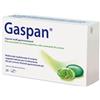 DR.WILLMAR SCHWABE GmbH&CO.KG Gaspan 28 capsule molli gastroresistenti