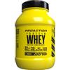 PROACTION Srl FIT WHEY PROTEIN VANIGLIA 900G