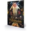 Pyramid Piramide Holzdruck - Harry Potter Dumbledore - 40x60 Cm - Wood Wall Art Poster