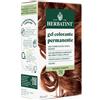 Antica Erboristeria SpA Herbatint Gel Colorante Permanente 7R Biondo Ramato 170 ml Tintura
