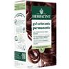Antica Erboristeria SpA Herbatint Gel Colorante Permanente 7M Biondo Mogano 170 ml Tintura