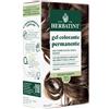 Antica Erboristeria SpA Herbatint Gel Colorante Permanente 7D Biondo Dorato 170 ml Tintura
