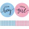 SRLWMYI 120 Pezzi Baby Shower Adesivi Etichette,gender reveal party Decorazioni, Etichette Team Boy Team Girl, Stickers Genere Rivelare, Stelle Blu e Rosa Kit Festa Rivelazione Sesso Bambino