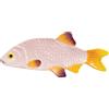klevering & klevering - Piatto Marin - Multicolore - Ceramica dolomite