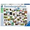 Ravensburger - Puzzle Collage di animali divertenti, 1500 Pezzi, Idea regalo, per Lei o Lui, Puzzle Adulti
