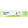 boiron Spongia tosta 5ch gr bo