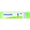 boiron Colocynthis 5ch gr bo