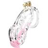 Cellmate Guardian Chastity Cage Clear Size 4