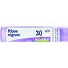 boiron Ribes nigrum 30ch gr bo