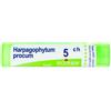 boiron Harpagophytum procum 5ch gr
