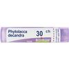 Boiron Phytolacca Decandra 30CH Granuli 4 g