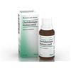 Heel Chelidonium-Homaccord