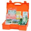 PEBSHOP CASSETTA PRIMO SOCCORSO CM 51 X 41 X 13