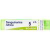 boiron Sanguinaria nitrica 5ch gr